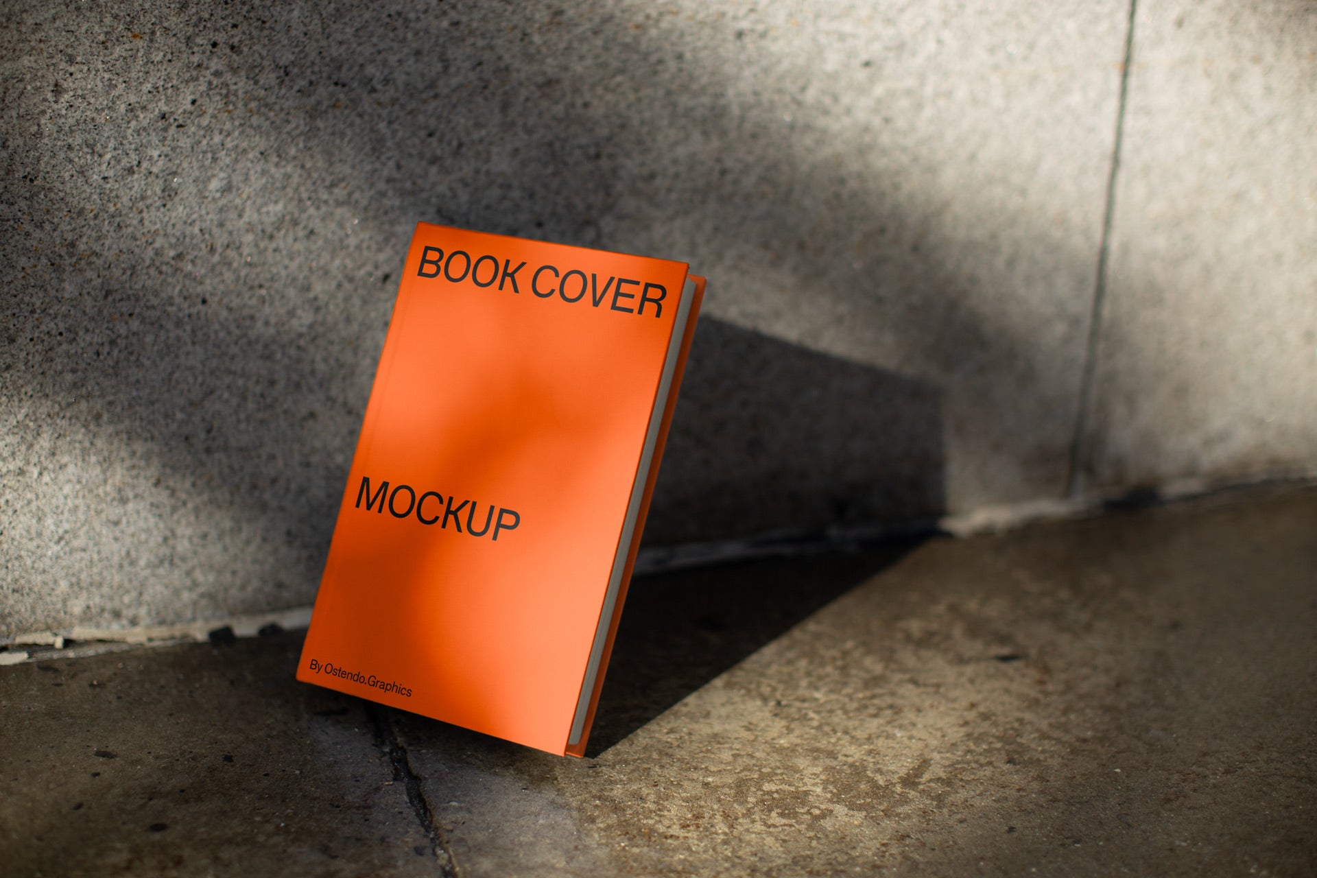 BO1 Book Cover Design Mockup