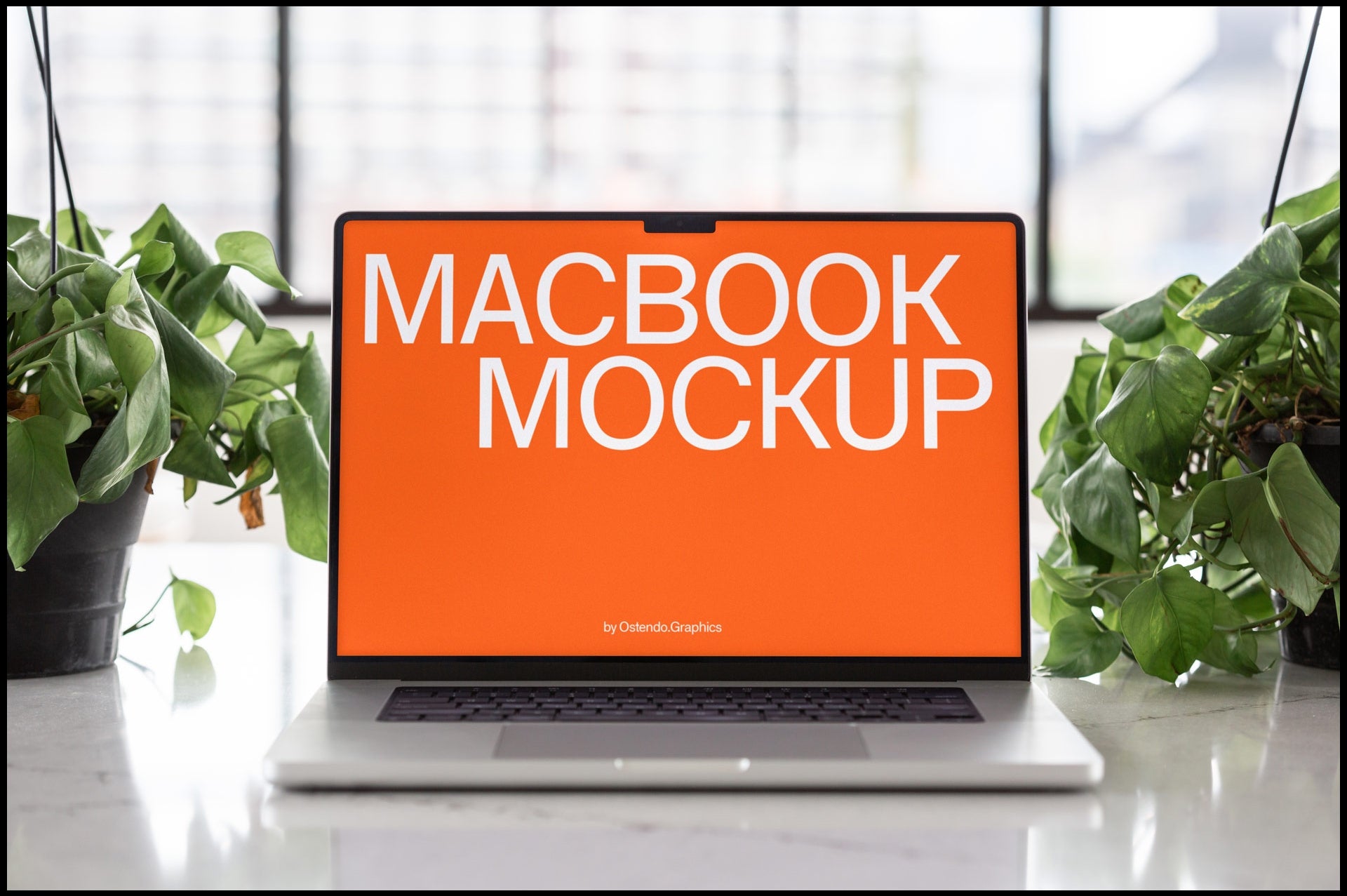 B-DD-V4 (17 Macbooks in a Springtime Studio)